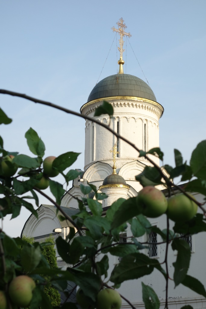 сп10