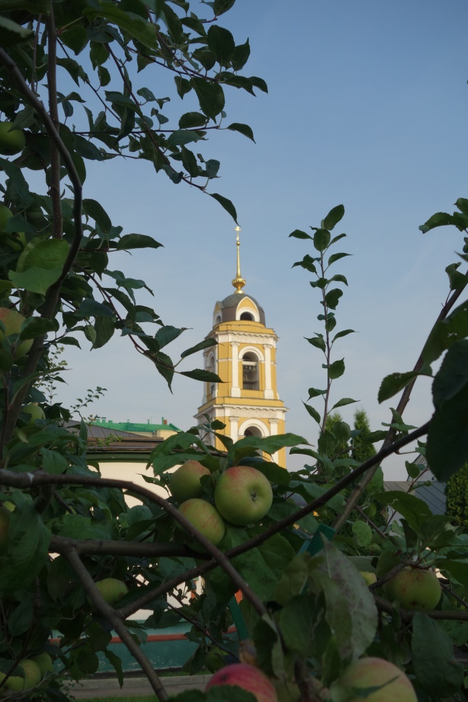 сп7