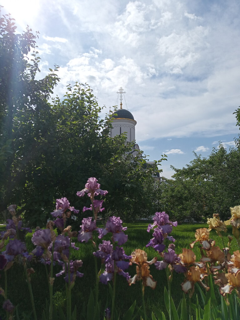 Богородицерождественский храм с Суворово Волоколамский район