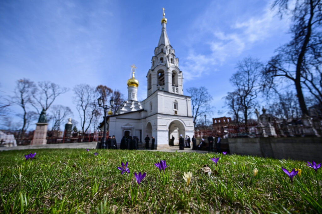 Донской ставропигиальный мужской монастырь г Москва