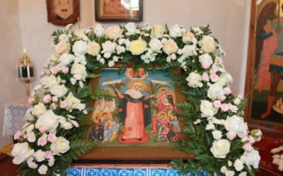 Икона Божией Матери «Всех скорбящих Радость»