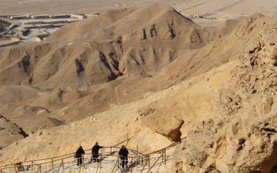 Великие подвижники и их живое слово. Беседа игумении Викторины (Перминовой) с сестрами к дням памяти преподобных Антония и Макария Великих.