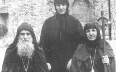 Воспоминания о преподобном Гаврииле (Ургебадзе) (из книги «Диадема старца»)