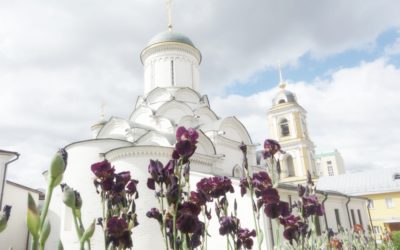 «Поминайте наставников ваших». Преподобный Кирилл Белозерский. День памяти — 22 июня. Часть 1