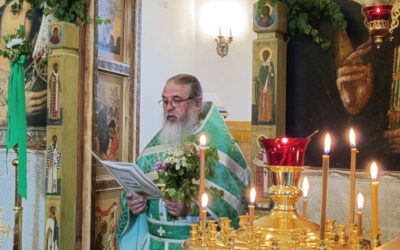 Праздник Святой Троицы на подворье нашей обители. Фотогалерея