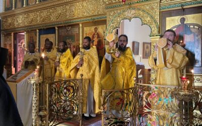 Священнослужители Патриаршего Экзархата Африки совершили Божественную Литургию в нашей обители