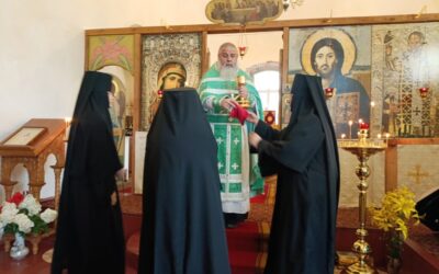 В день обретения святых мощей преподобного Серафима Саровского на подворье обители совершено праздничное богослужение