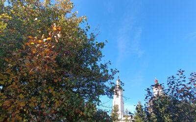 В день Воздвижения Креста Господня на подворье обители. Фотогалерея
