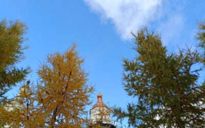 Осень на подворье обители и в его окрестностях
