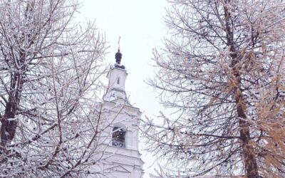 Снегопад на подворье и в его окрестностях. В преддверии Рождественского поста