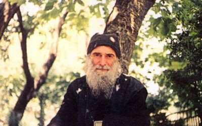 Исповеднический подвиг преподобного старца Гавриила (Ургебадзе). Доклад митрополита Чиатурского и Сачхерского Даниила (Грузинская Православная Церковь)