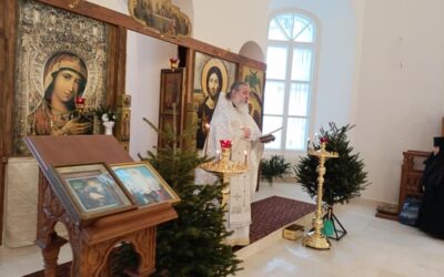 На подворье нашего монастыря совершены Божественная Литургия и чин молебного пения о вразумлении имущих намерение убити младенца во чреве