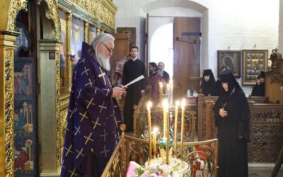 Председатель Синодального отдела по монастырям и монашеству передал Патриаршее поздравление игумении Викторине по случаю ее тезоименитства