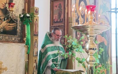 В праздник Святой Троицы на подворье обители совершены Божественная Литургия и вечерня с коленопреклоненными молитвами